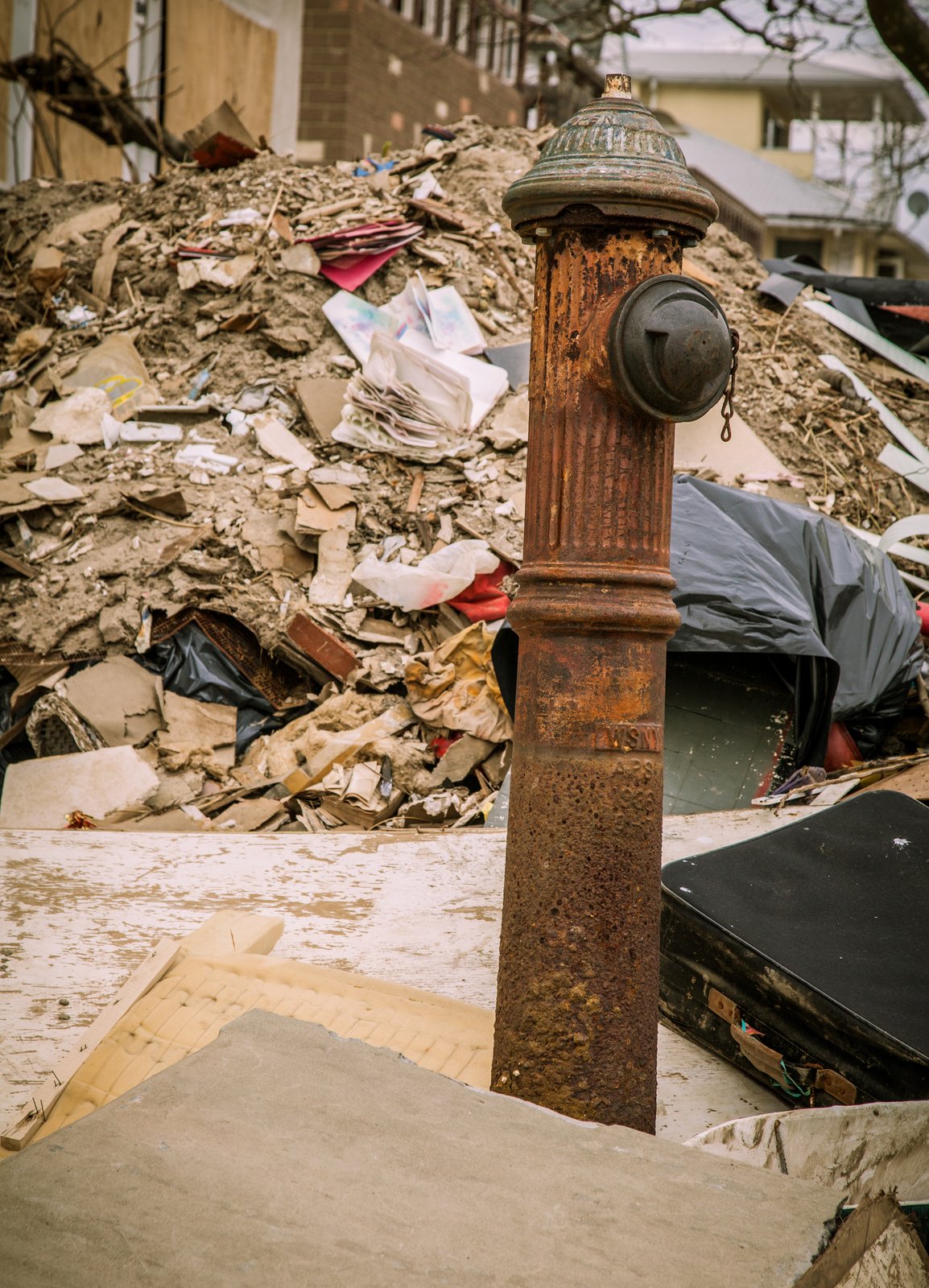 art-of-sandy-mo-seagate 2-18.jpg